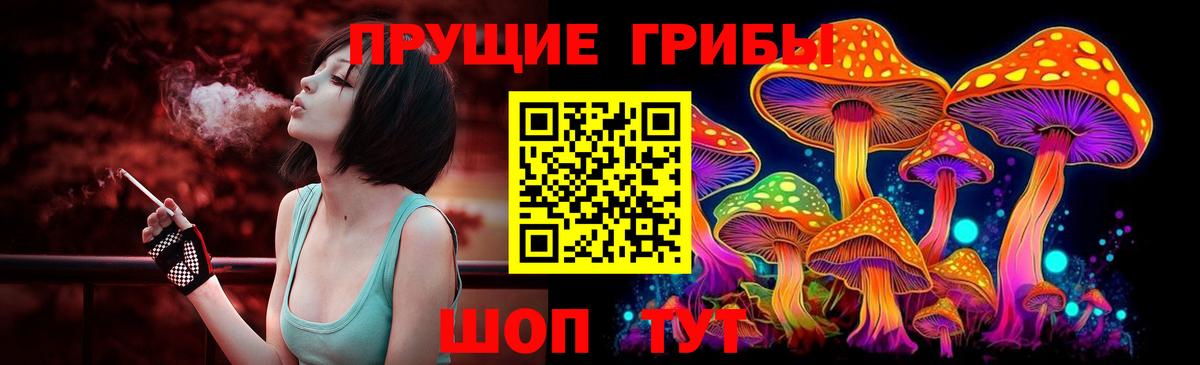 Псилоцибиновые грибы GOLDEN TEACHER  Вход с VPN  купить закладку  Красный Сулин  Псилоцибиновые грибы Magic Shrooms 